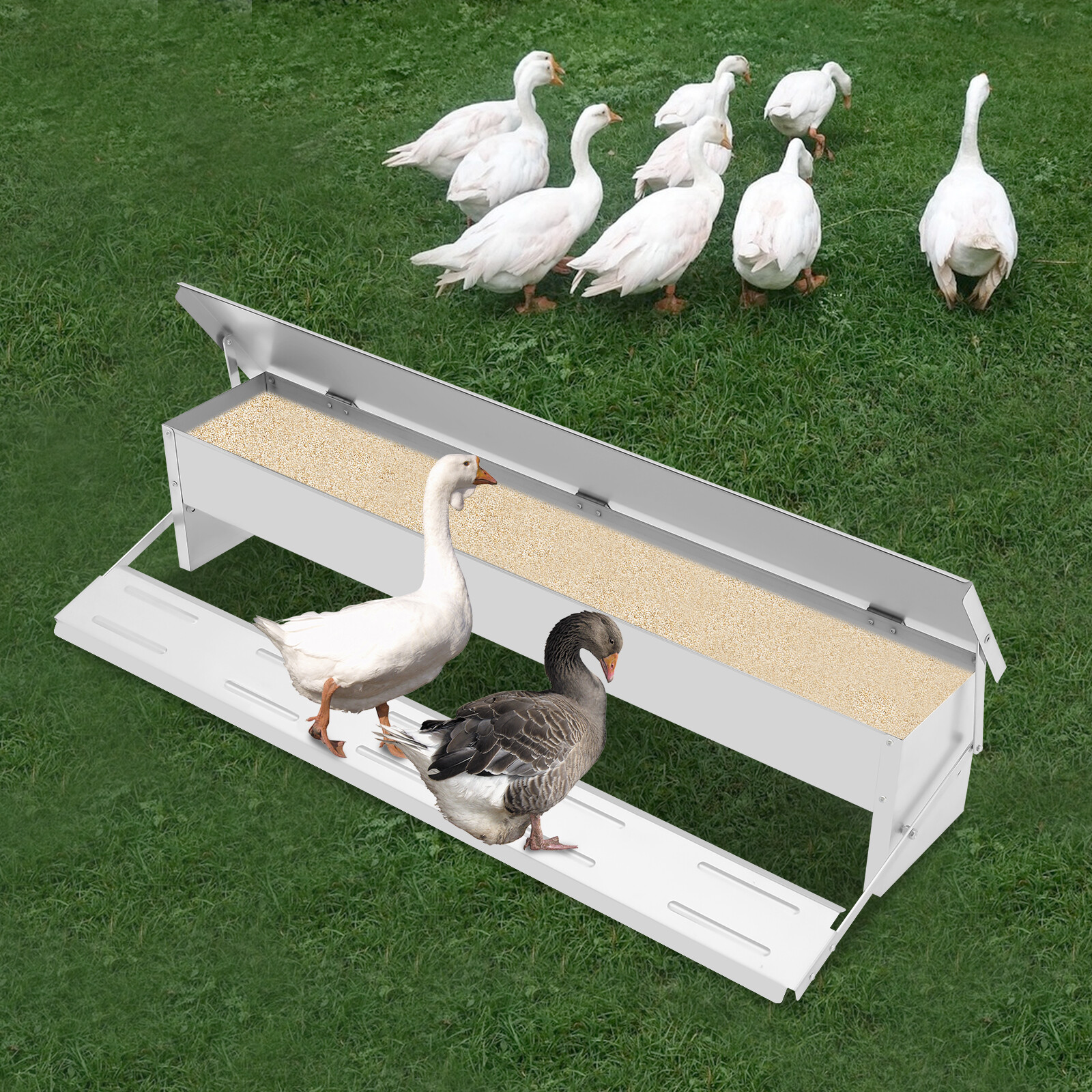 Galvanized Sheet Poultry Feed Protector Automatic Chicken Feeder 22lbs Capacity