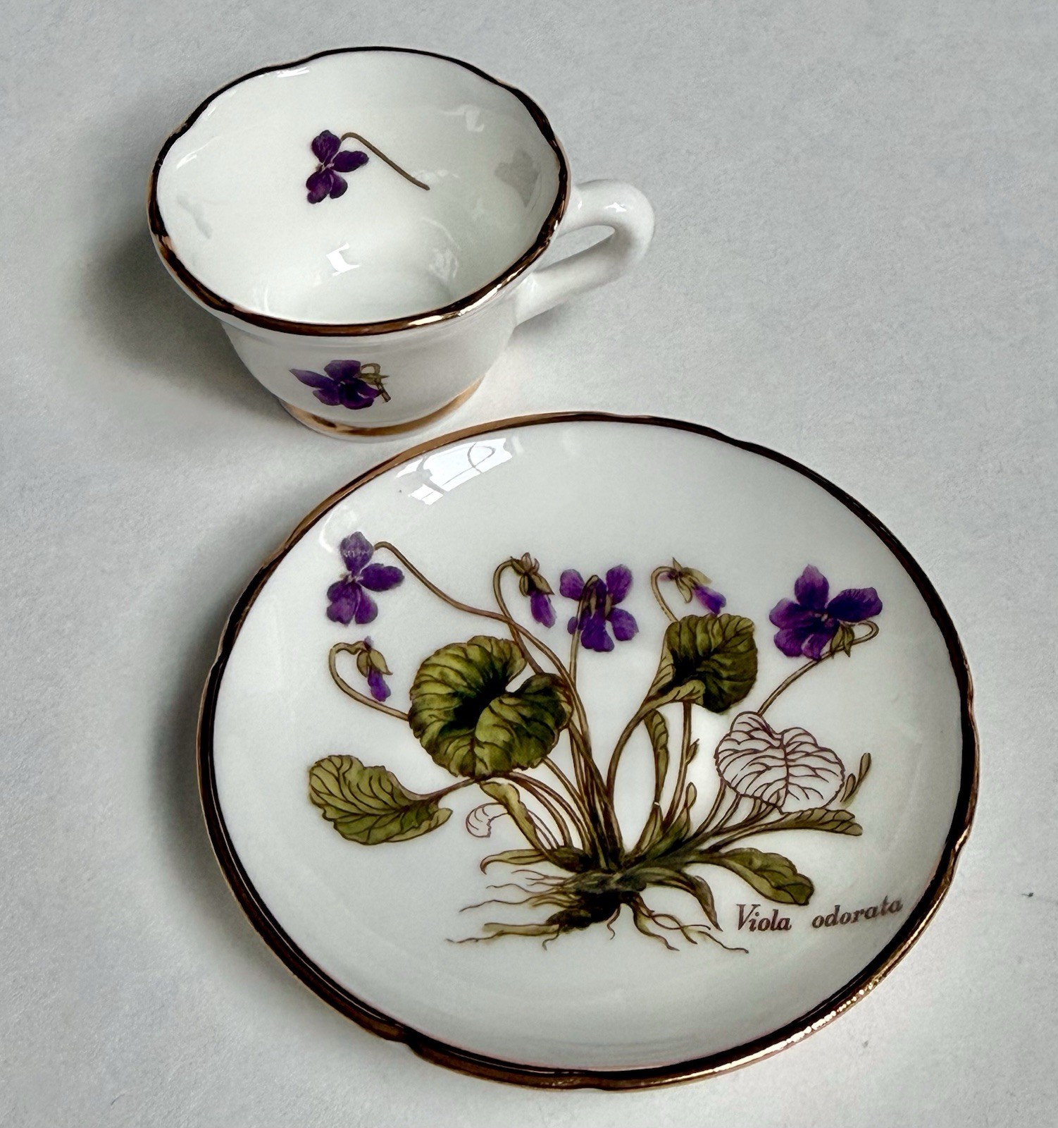 The National Trust Oakley Tea Cup Saucer Set Dollhouse Violet Miniature England