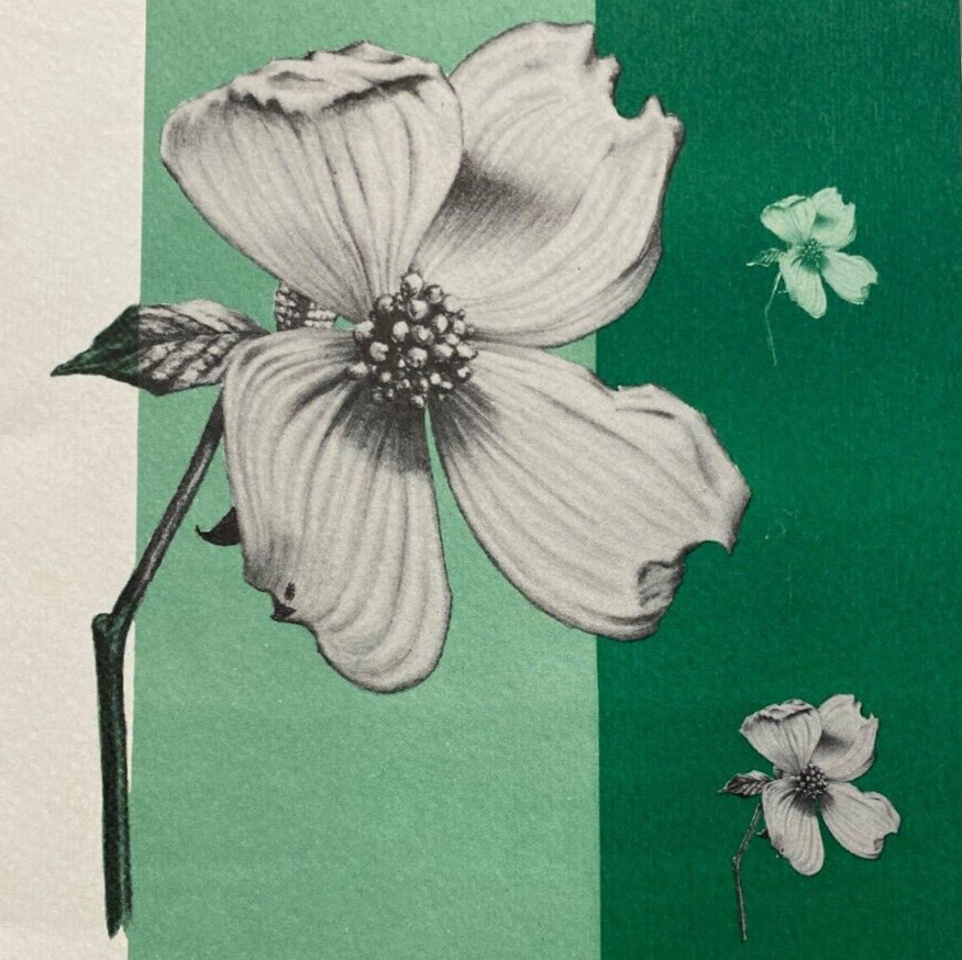 1961 Dogwood Arts Festival Fountain City Garden Knoxville Tennessee Map Program