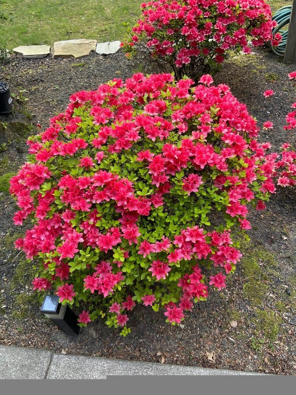 Test Listing ONLY - Scheduled 03/06/2026