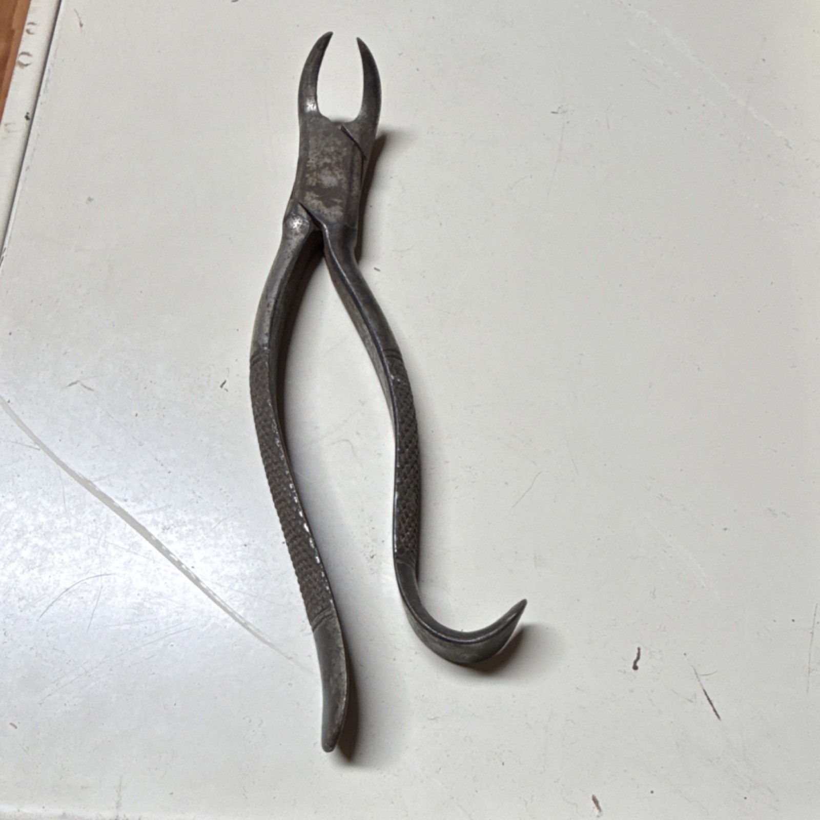 Antique Dental Extraction Forceps Vintage Dentistry Tool Pre-1930