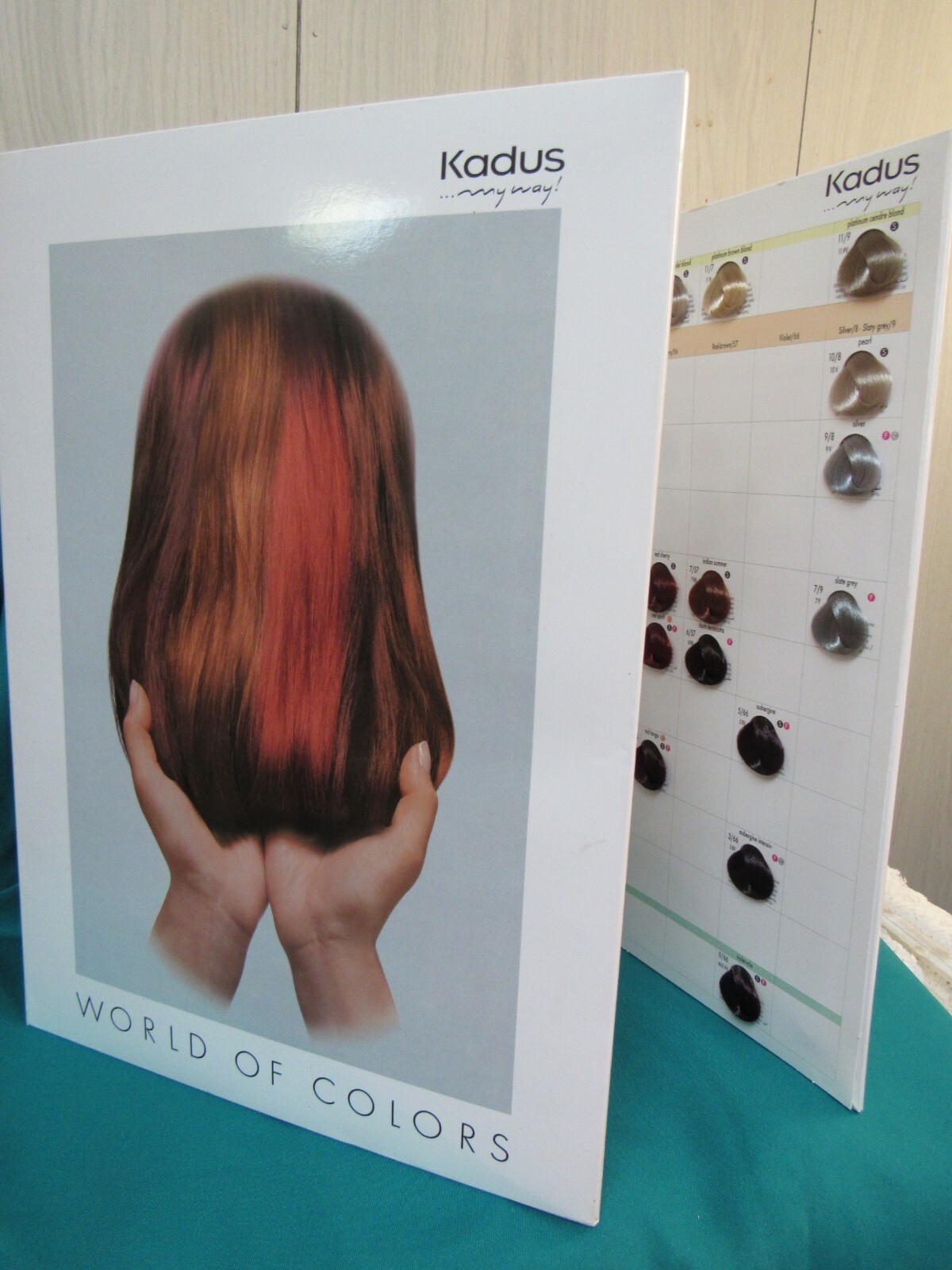 KADUS World of Colors Hair Color Swatch Book  -- Selecta - Fervidol  - 17" X 12"