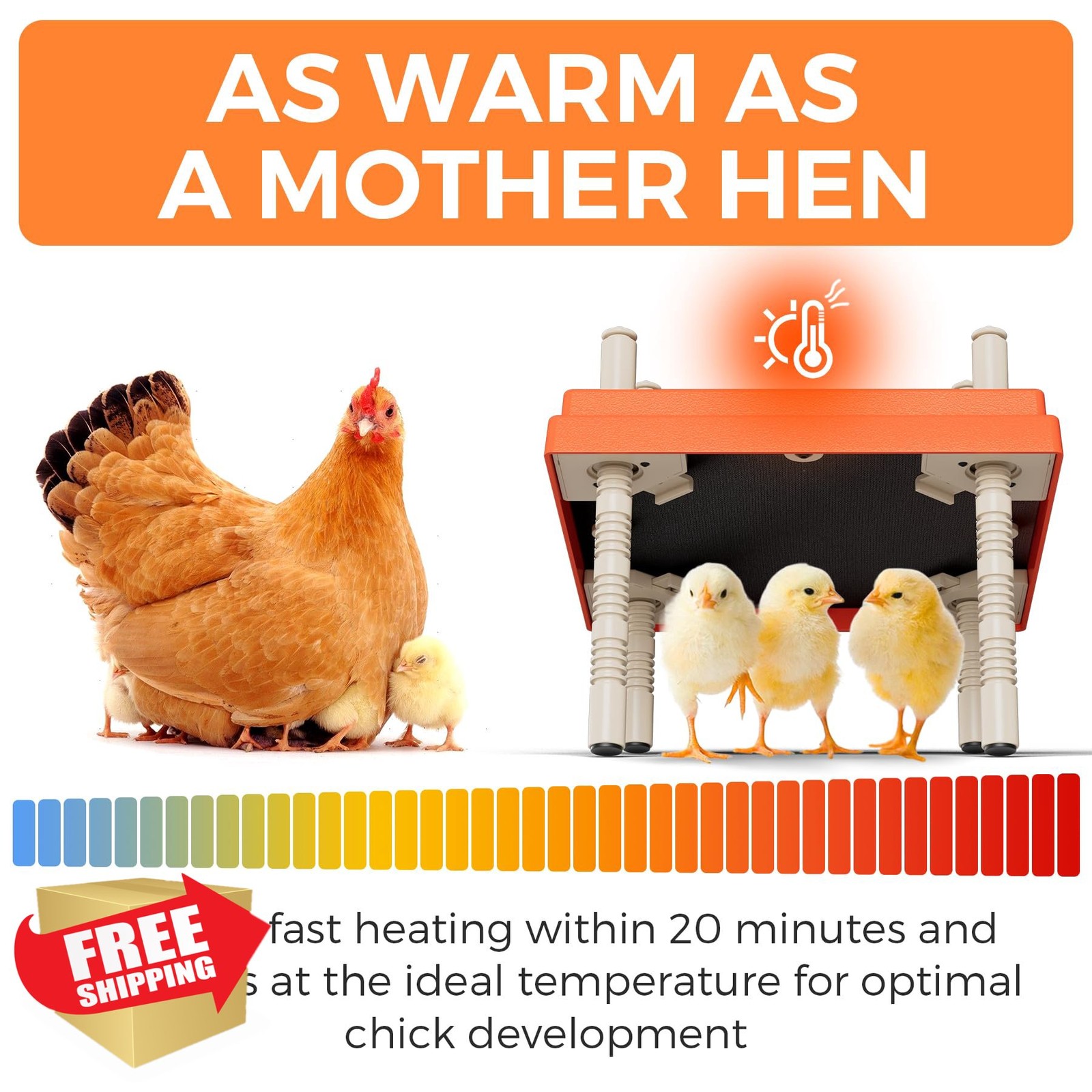 Chick Brooder Heating Plate with Anti Stand Cone 10x10 Heater