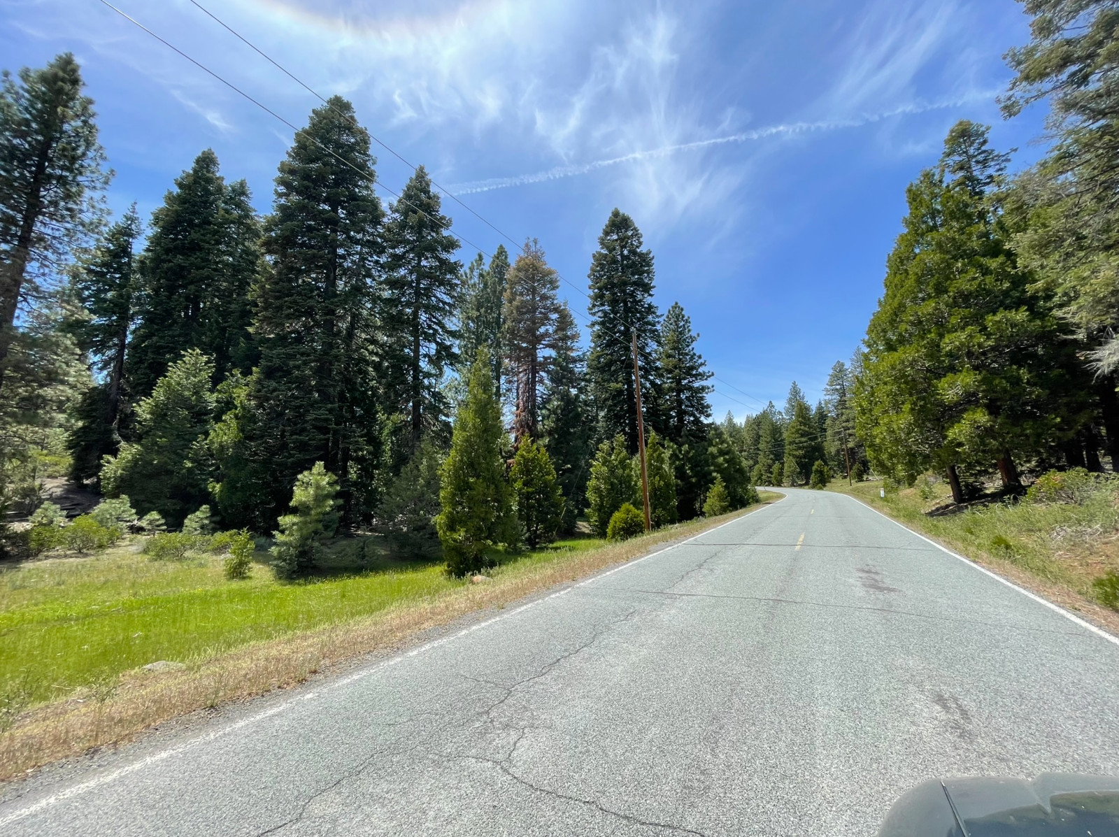 California Land For Sale - 1.05 Acres With Tall Trees & Level! - Modoc County
