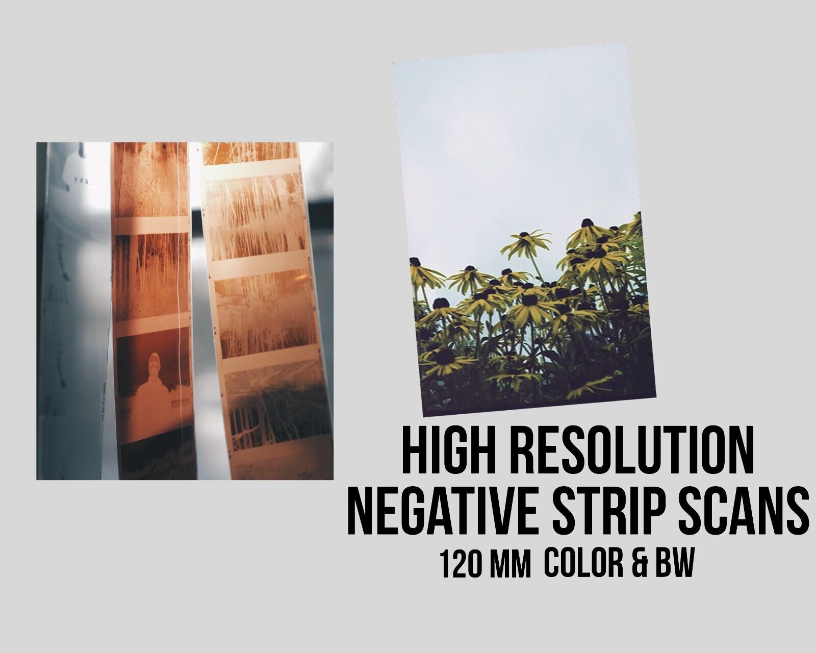 120mm, 50 Photo Negative Strips converted to DVD.