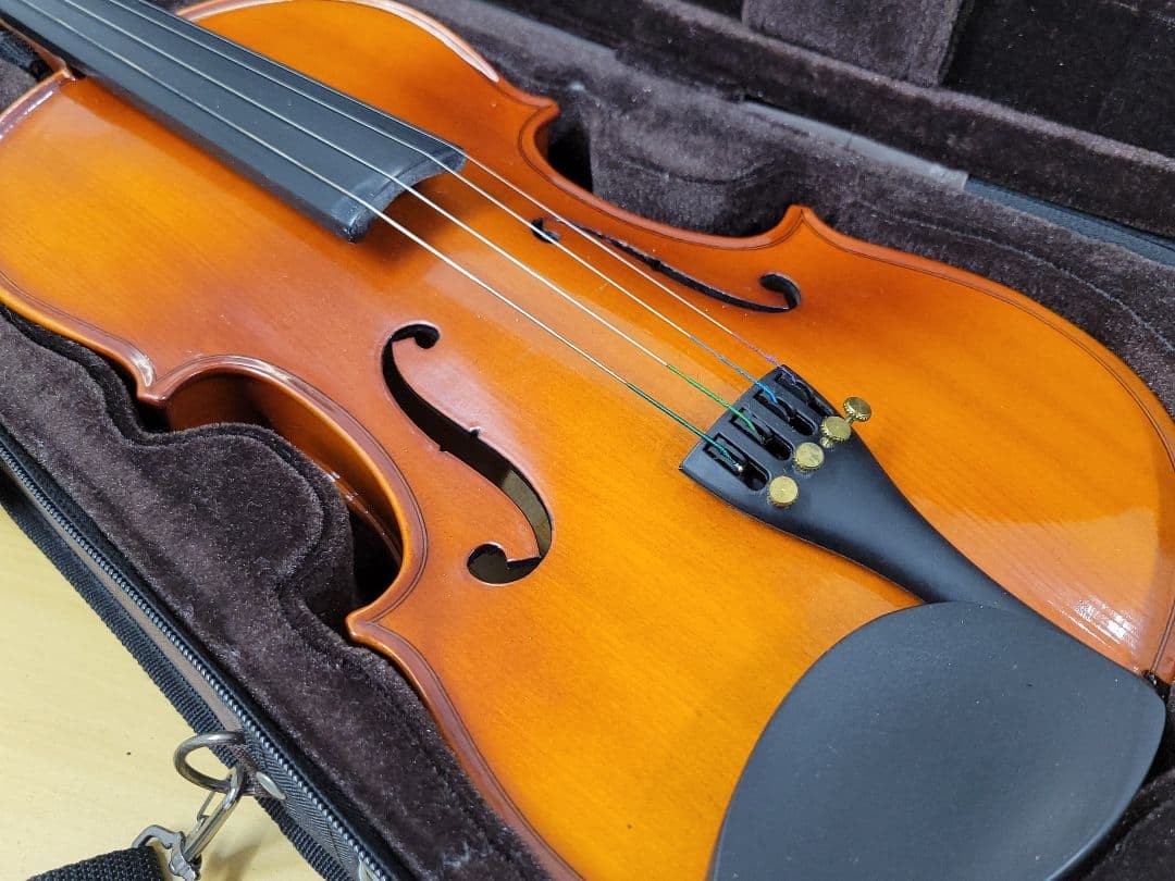 Stentor Student Standard 4/4 Violin with Case