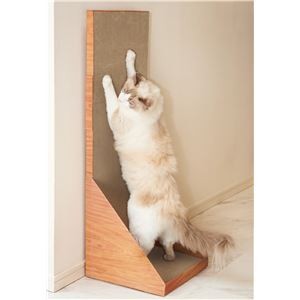 Garigari Wall 100 Tea Brown (Cat Toy/Scratcher) [Wholesale]