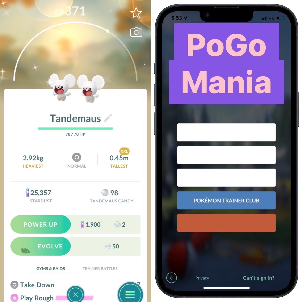 Shiny Tandemaus✨XXL Size✨mini PTC 20k✨(read description)