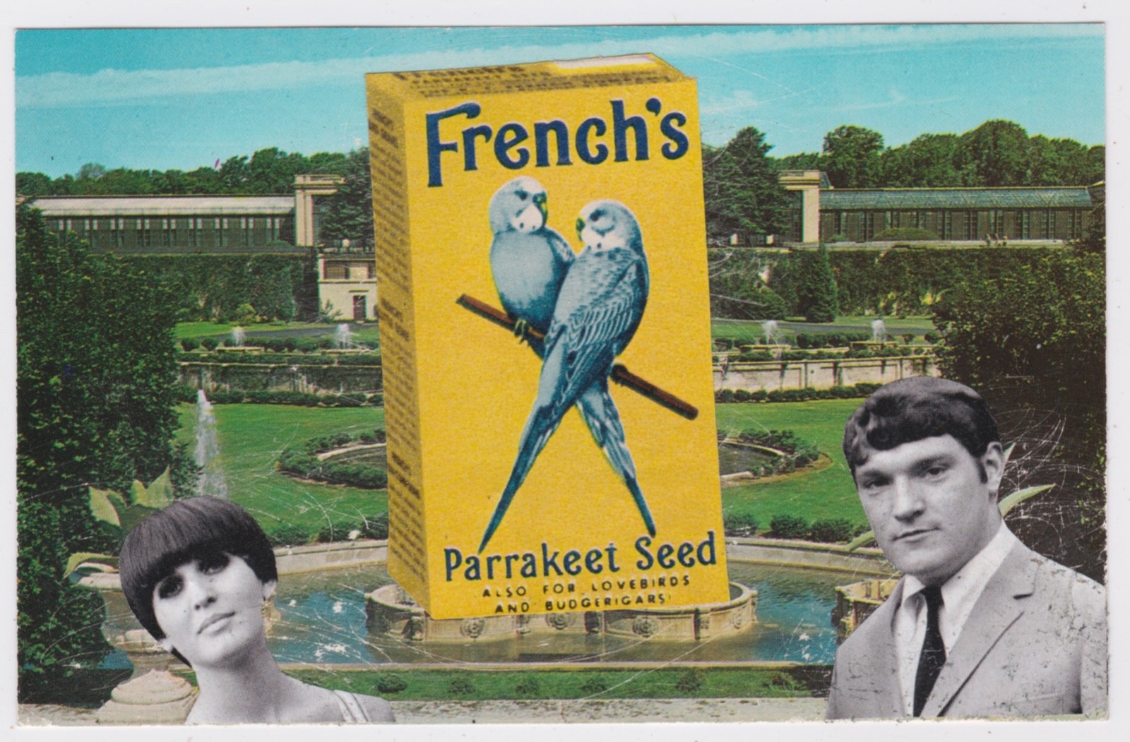 Mail Art David Greenberger "Endorsed by Julie and Brian" collaged postcard 2023