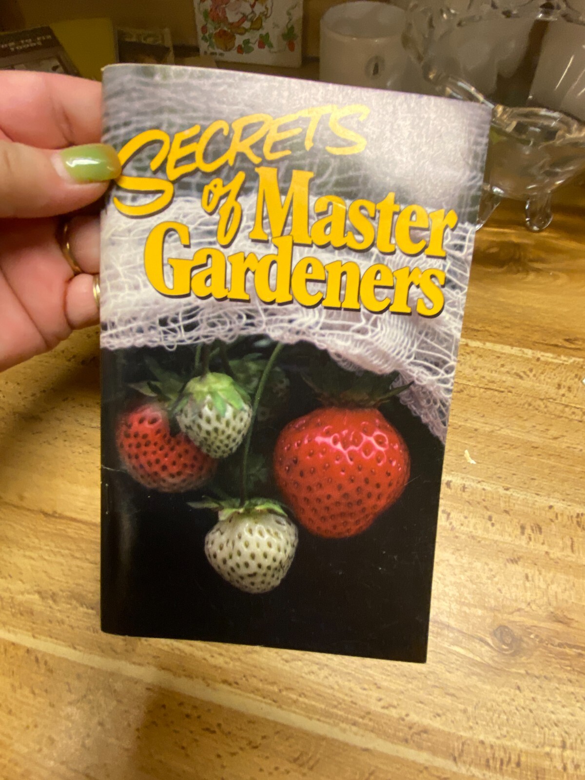 Secrets Of Master Gardeners Vintage 1982 Paper Booklet By Organic Gardening