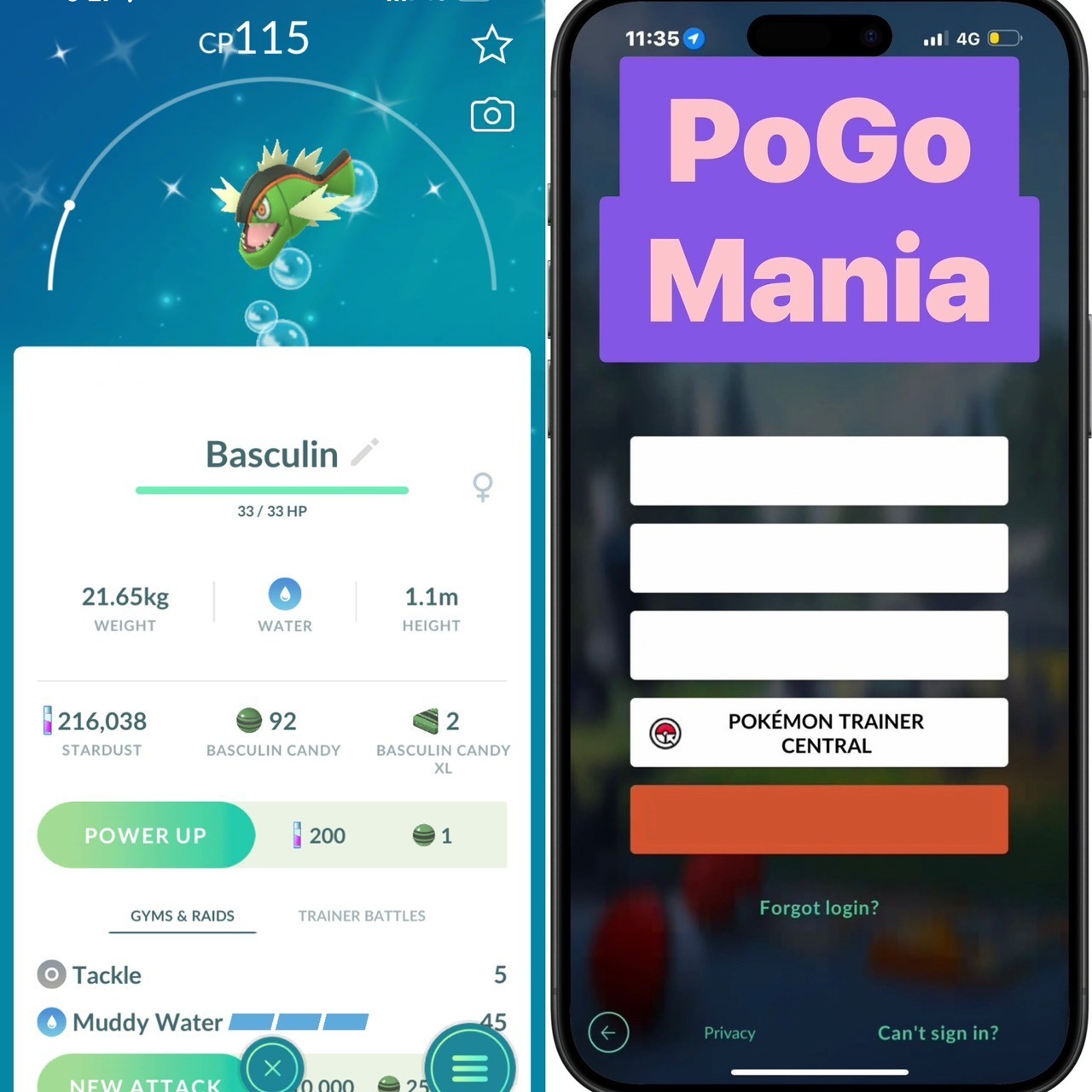 Shiny Basculin (Red-Striped)✨mini PTC 80k✨(read description)