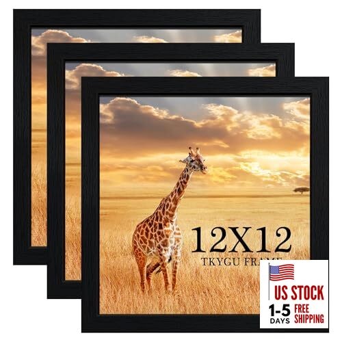 12x12 Picture Frame Set of 3 Wooden Frame 12x12 Square 12x12 (Pack of 3) Black