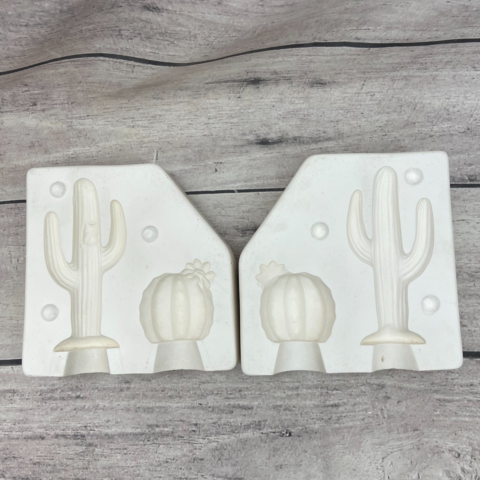 Provincial Ceramic Casting Mold Cactus #P-824