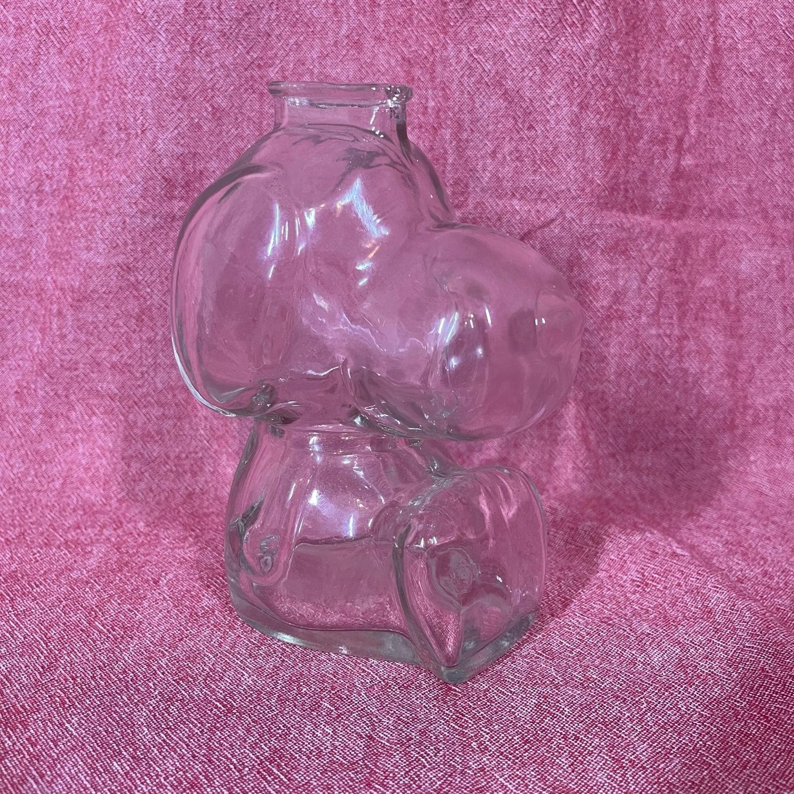Vintage Peanuts Snoopy Clear Glass Coin Bank Charlie Brown