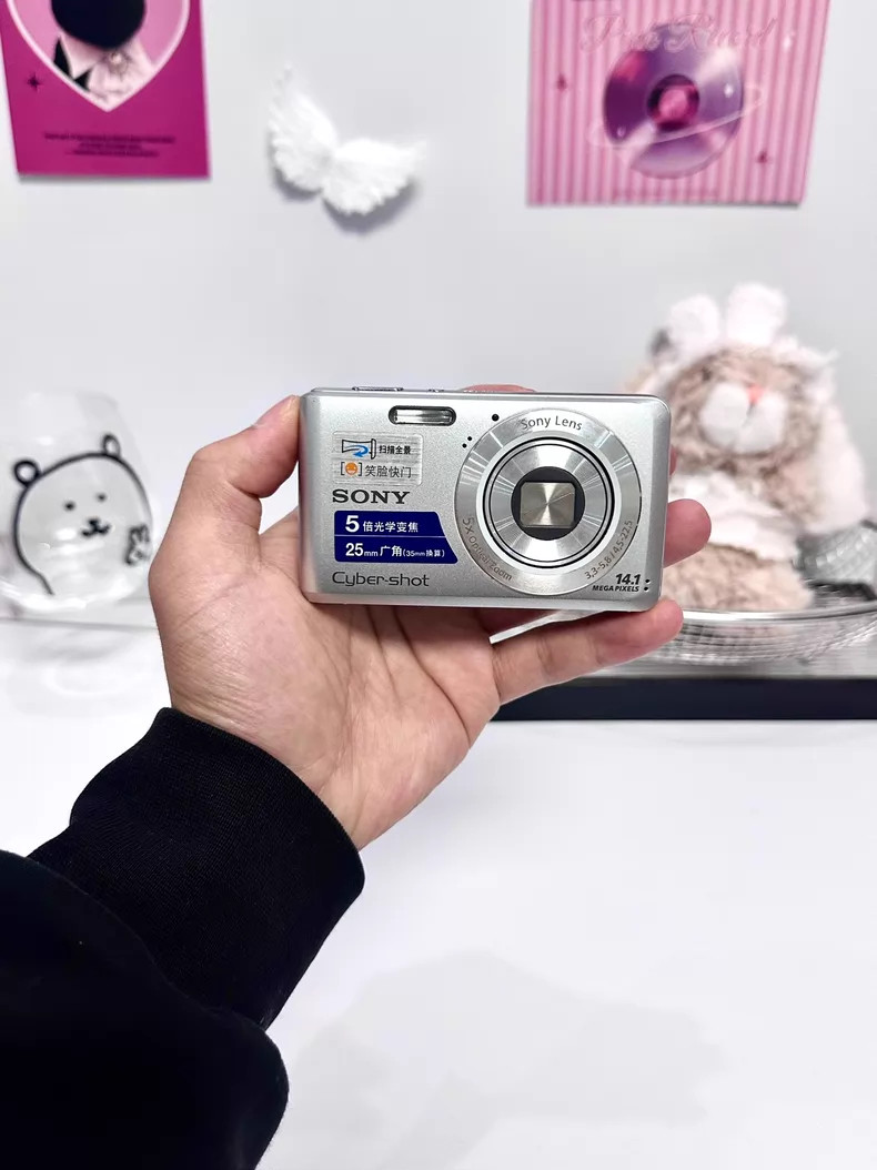 Sony Cyber-shot DSC-W520 MP 14.10 Digital Camera 3x Zoom English silver