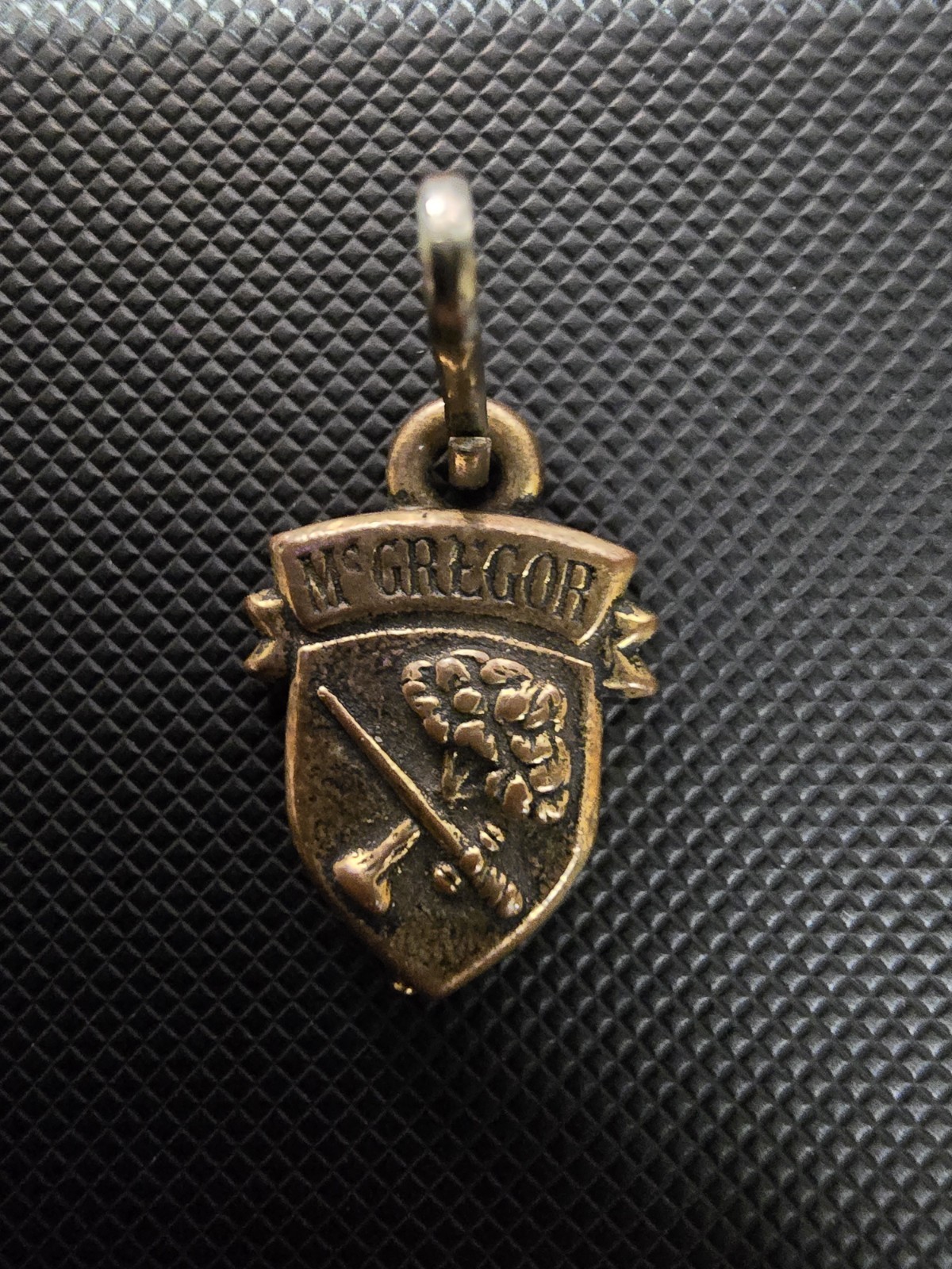 Old House McGregor Coat of Arms Family Crest Oxford Royce NY Charm Bronze Toned