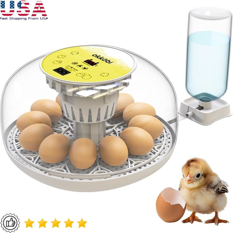 Automatic Chicken Egg Incubator Temperature Control Humidity 12-24 Eggs New