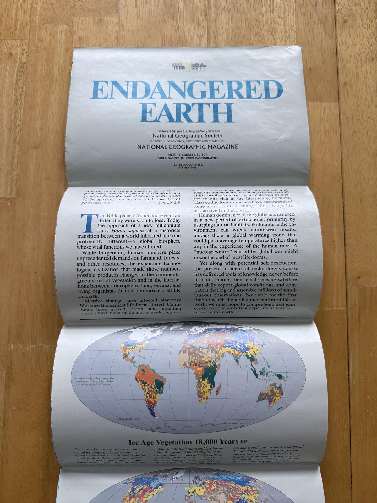 Vintage 1988 National Geographic The World Map Endangered Earth Fold-Out Wall
