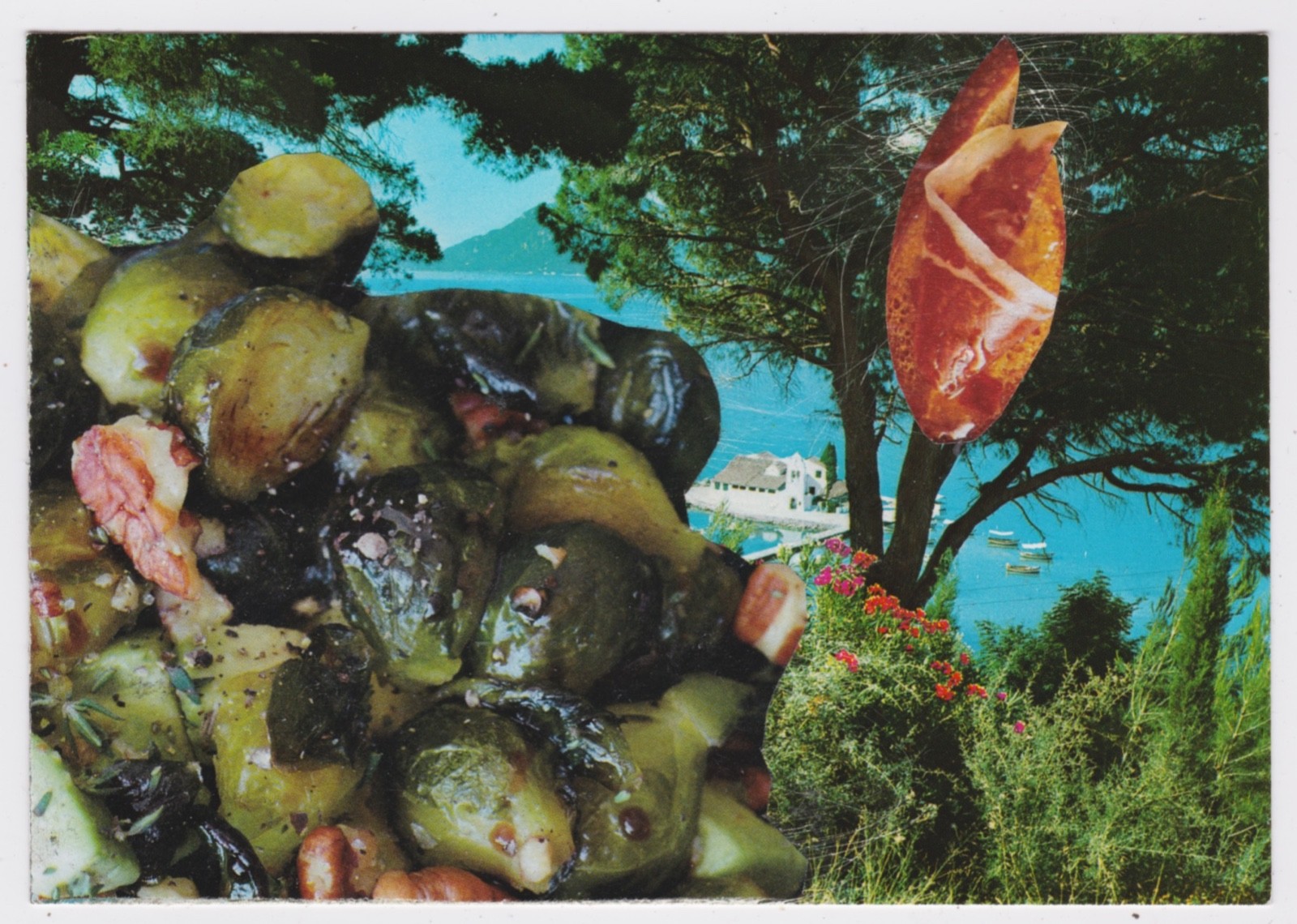 Mail Art David Greenberger "Catered Encroachments" original collaged postcard