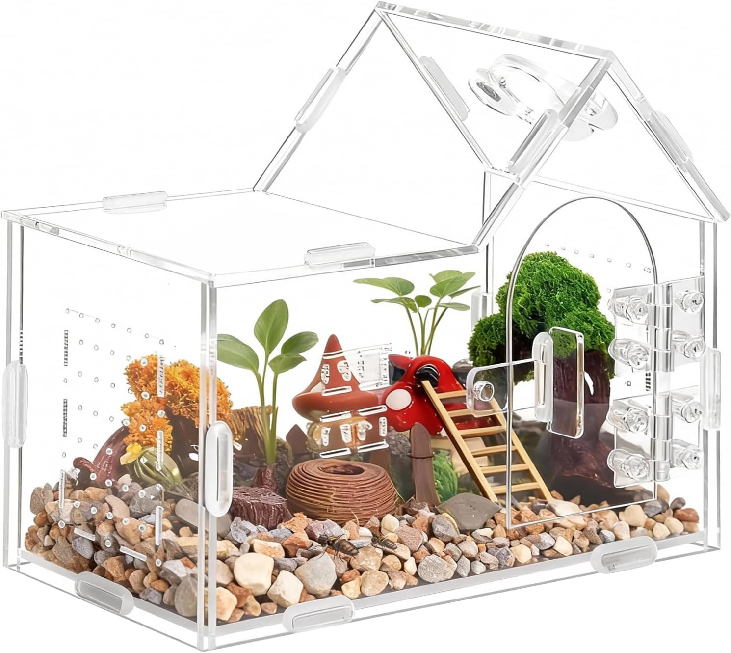 Jumping Spider Enclosure Small Acrylic Spider Cage Insect Terrarium Bug Enclosur