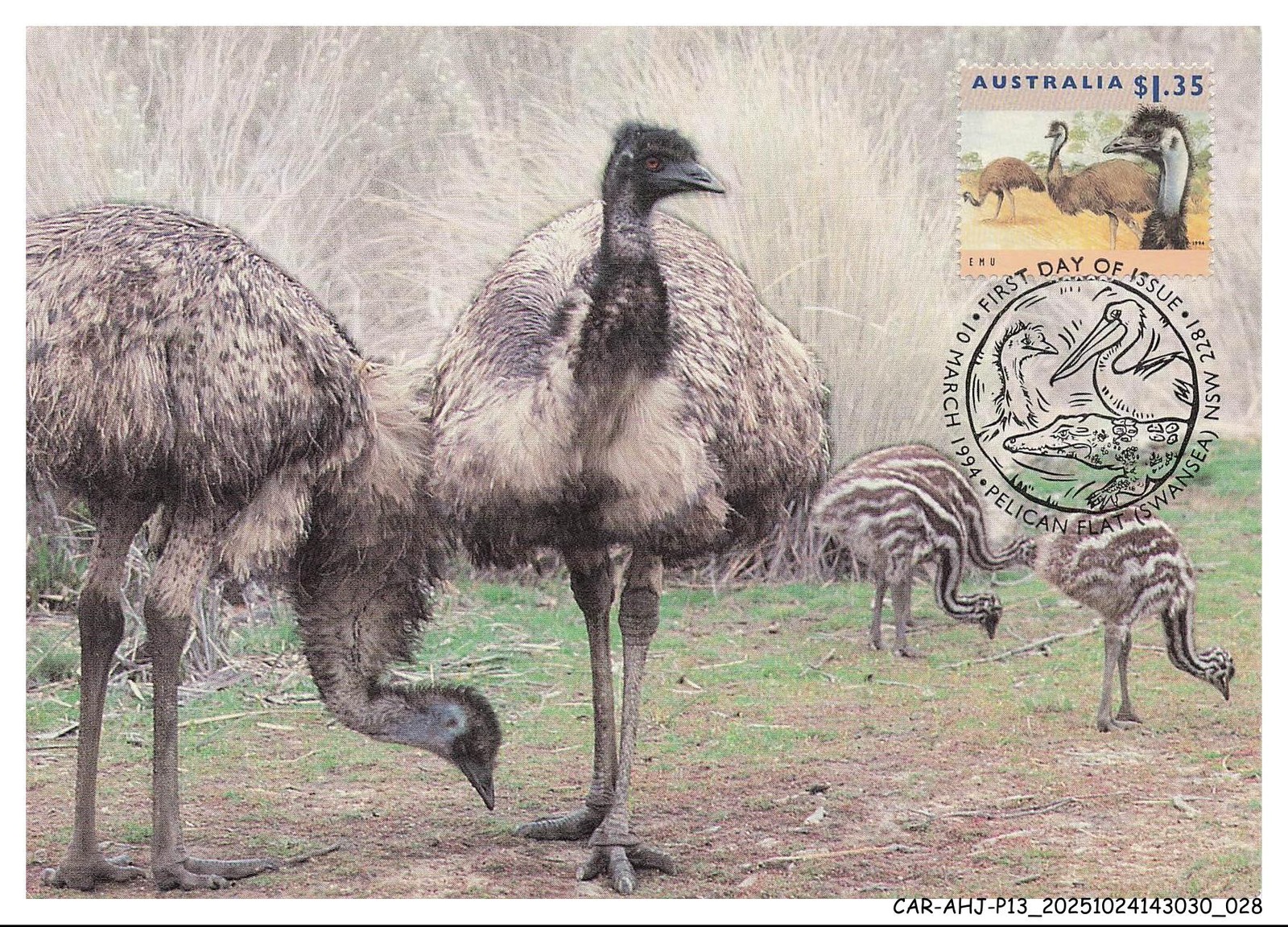 CAR-AHJP13-0589-CARD-MAXIMUM - AUSTRALIA - Pelican Flat - 1994