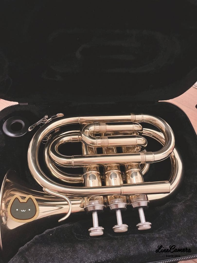 Soleil pocket trumpet
