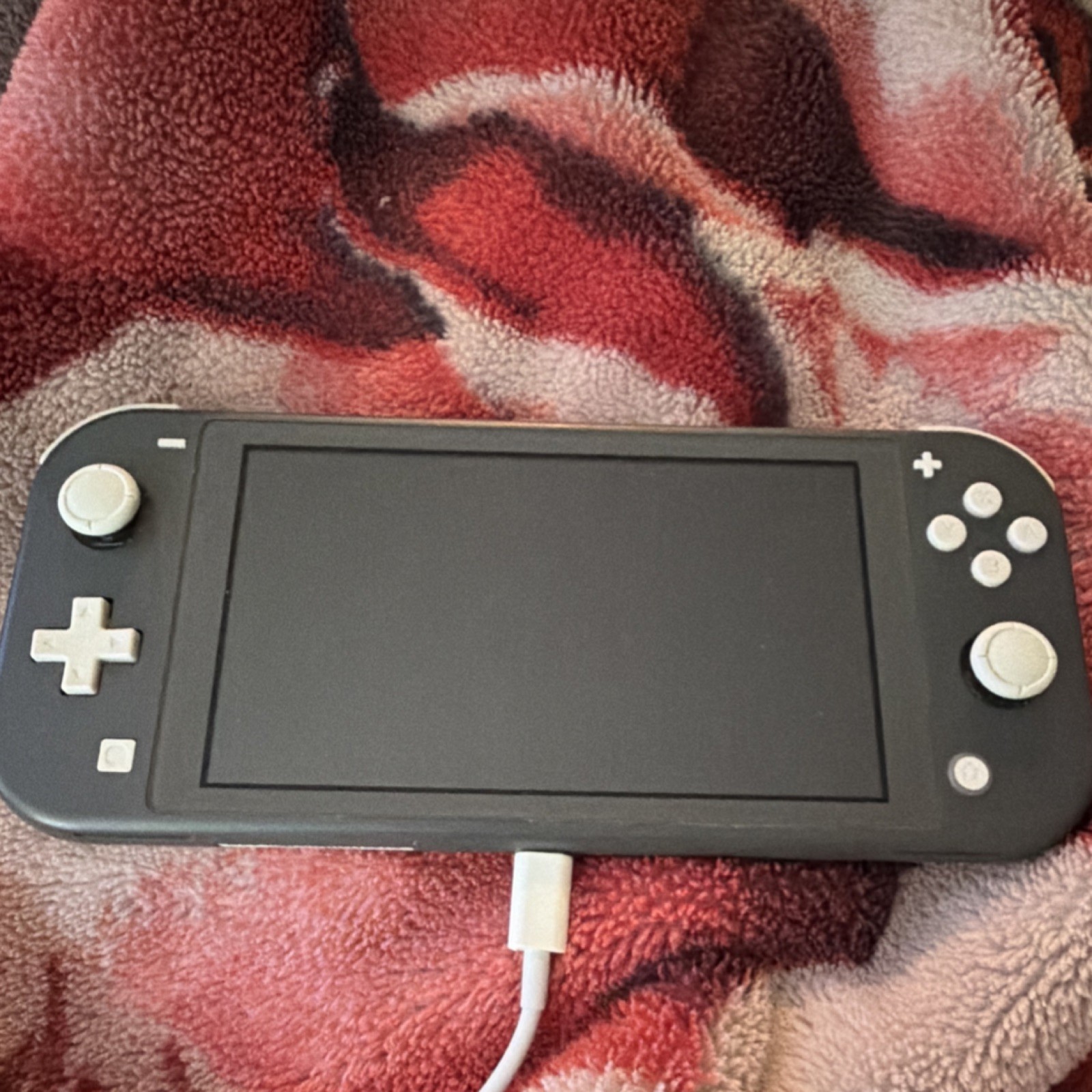 Nintendo Switch Lite Gray Handheld System Wi-Fi Capability USB-C