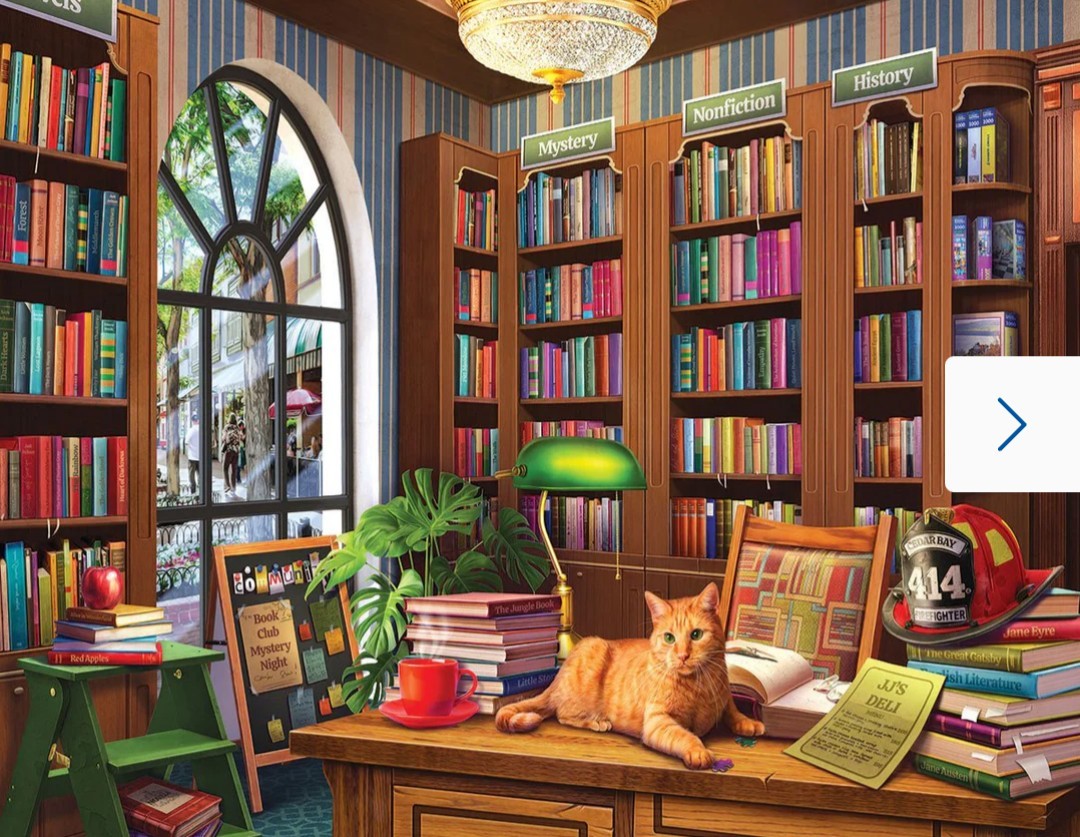 White Mountain 1000 Piece Puzzle - Public Library (Larger Pieces)