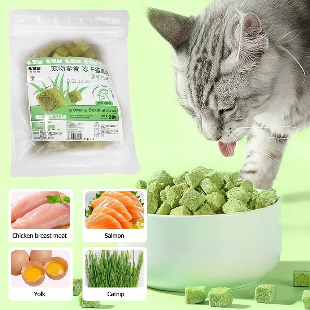 NEW Cat Grass Snack For Indoor Cats Grass Chew Teeth Removal Hairball |U.S U2K6