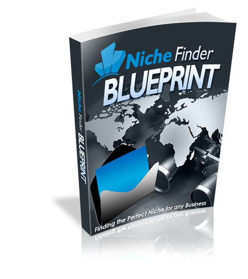 Niche Finder Blueprint To Finding The Perfect NICHE For Your Business (CD-ROM)