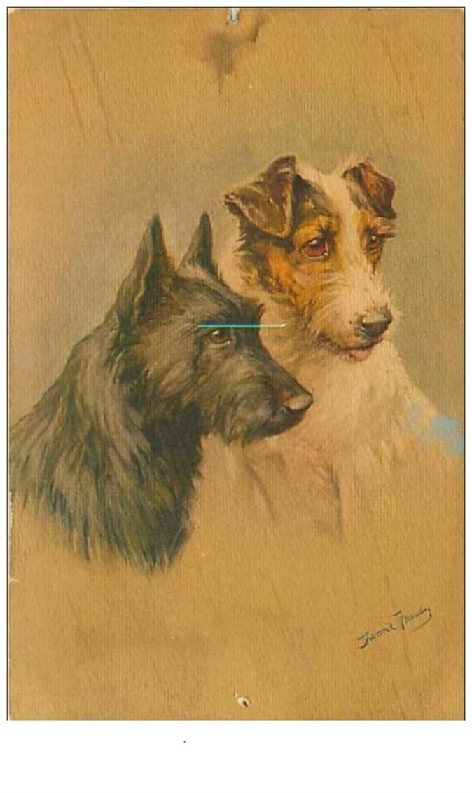 Dogs No. 73 Portrait Of 2 Dogs See Condition