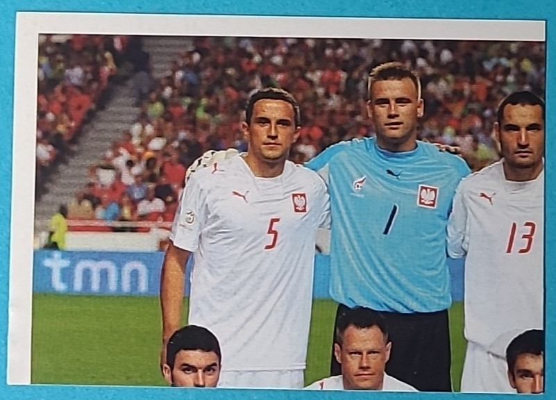 Panini Euro 2008 UEFA Euro 08 Sticker No 229 Team Poland Polska