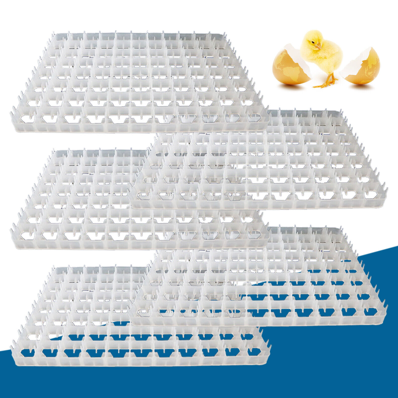 5 Pack Egg Incubator Trays for 88 Eggs - Durable Plastic Hatching Tool