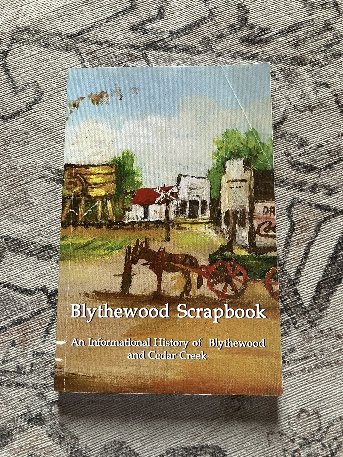 2004 book BLYTHEWOOD SCRAPBOOK, Local History South Carolina