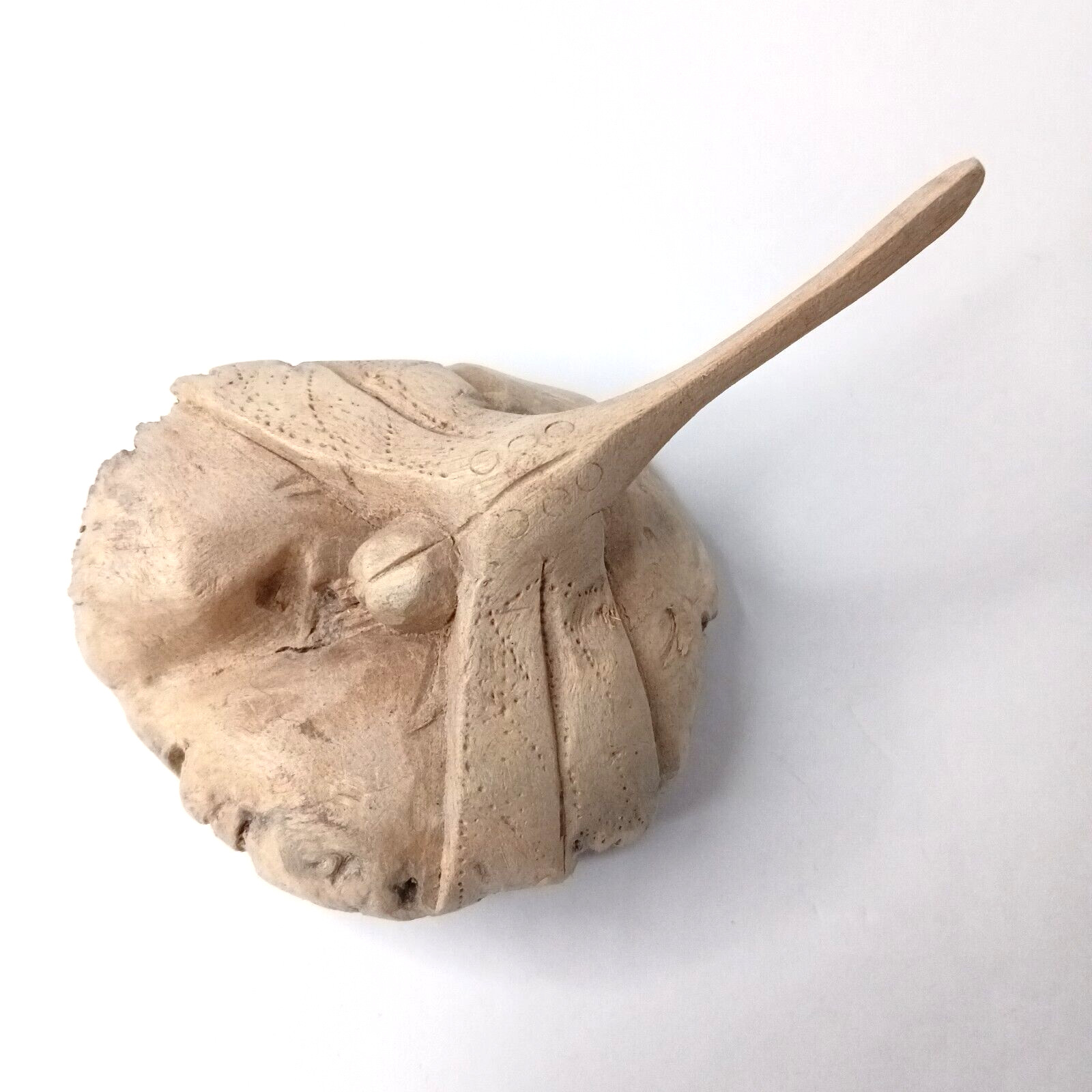 Hand Carved Parasite Wood 5.5" Dragonfly Figurine Indonesian Chinaberry