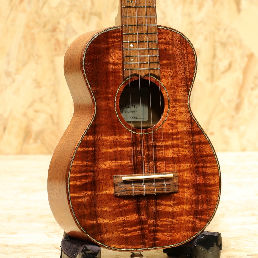 Seilen Slc-295J/Cst 2010S Safe delivery from Japan