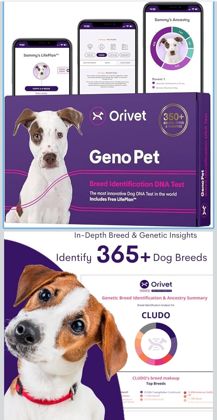 ORIVET GenoPet Dog DNA Test Kit