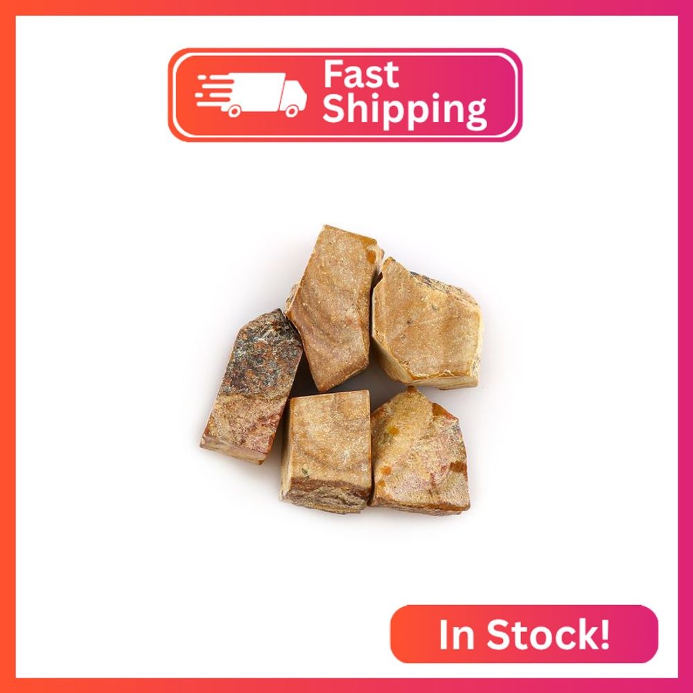 CRYSTALINES 5pcs Natural Raw Petrifeid Wood Jasper Gemstones, DIY Jewelry Making