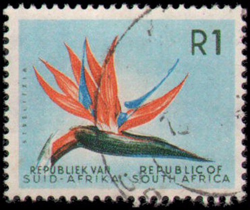 South Africa #266 Used