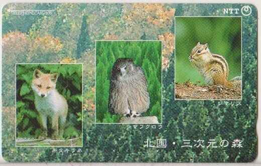 607/2020 Used Phonecard Japan 431-811 North Country 3D Forest Animals
