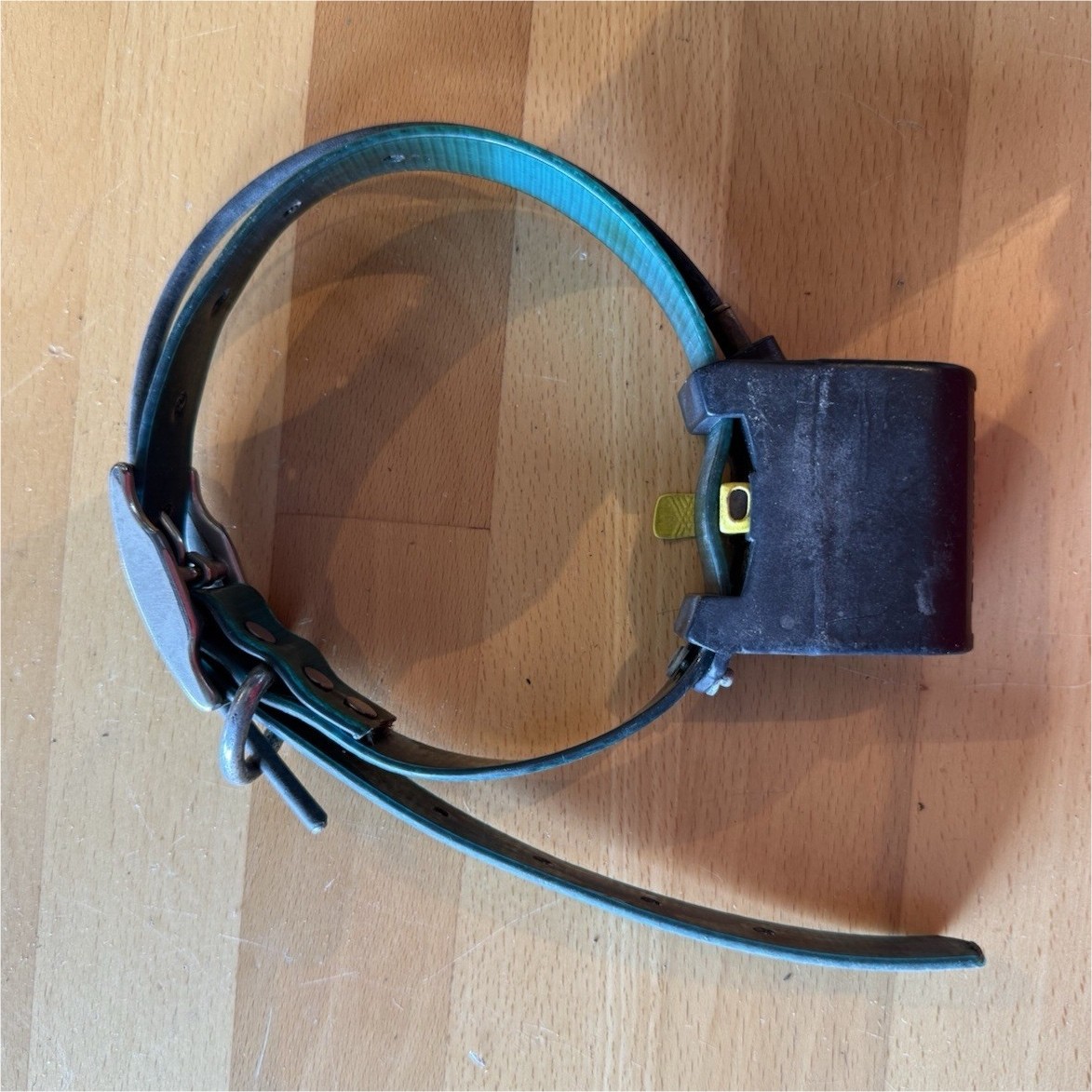 Magnum Telemetry tracking collar, 217.412 frequency