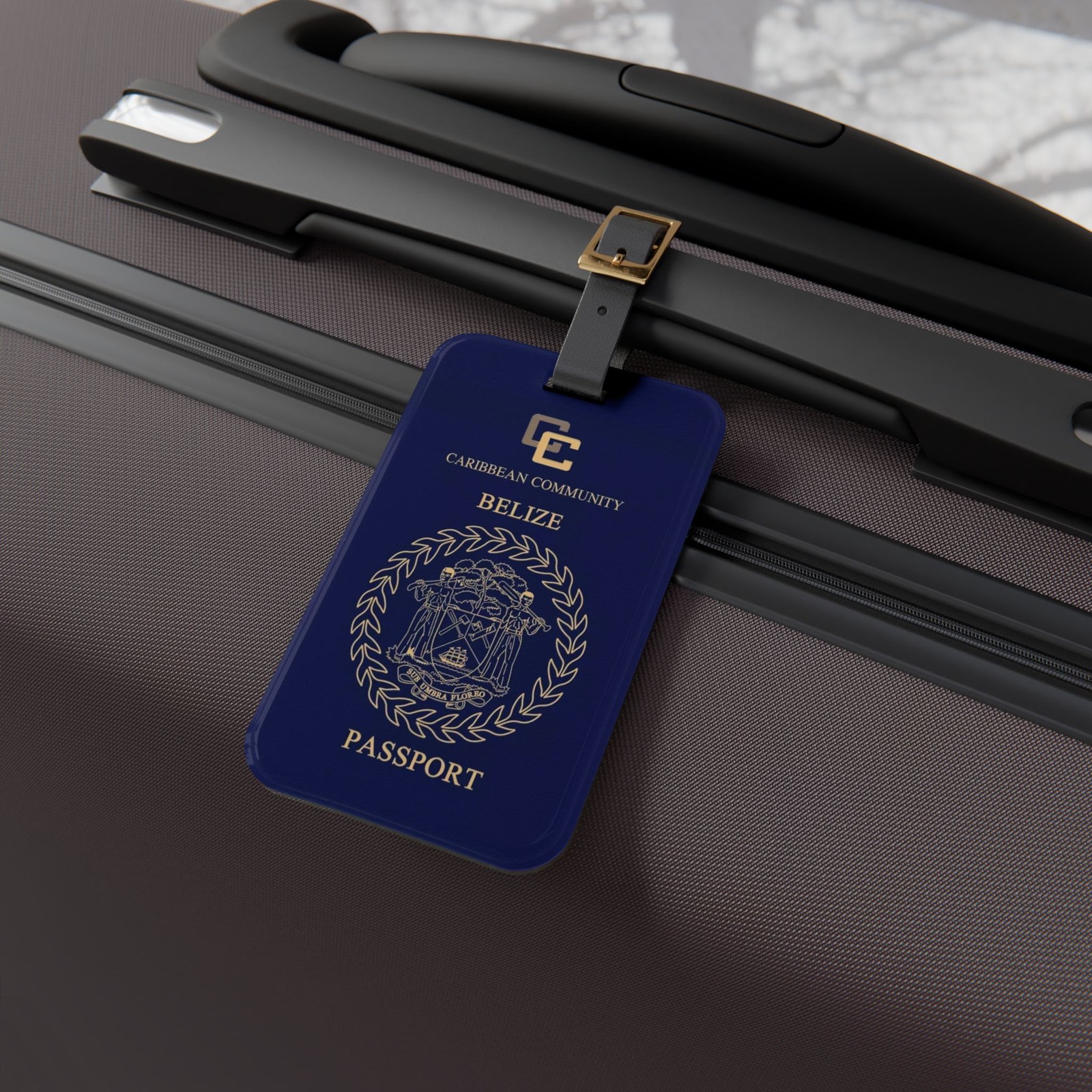 Belize Passport Cover Luggage Tag