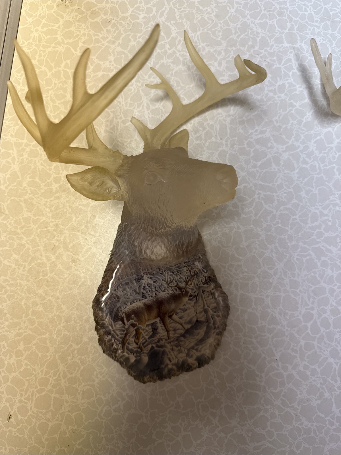 WHITETAIL DEER HEAD GLASS WALL HANGING