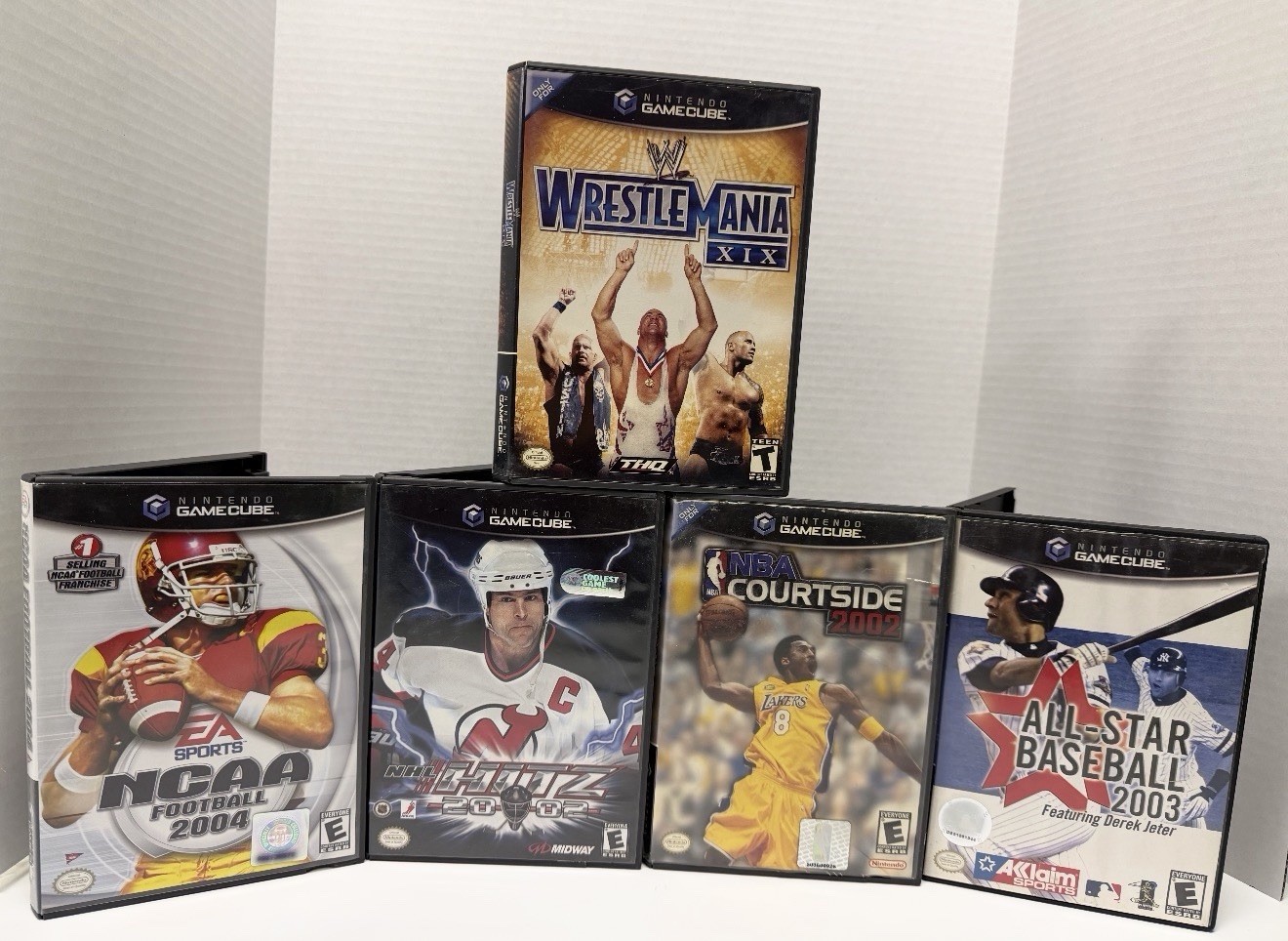 Nintendo GameCube bundle Sports 