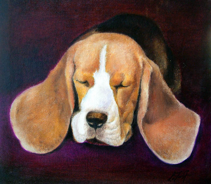 ✤ Photograpy PORTRAIT SERVICE Oil Painting 1 Pet 8x10 Commission Art Dog Cat