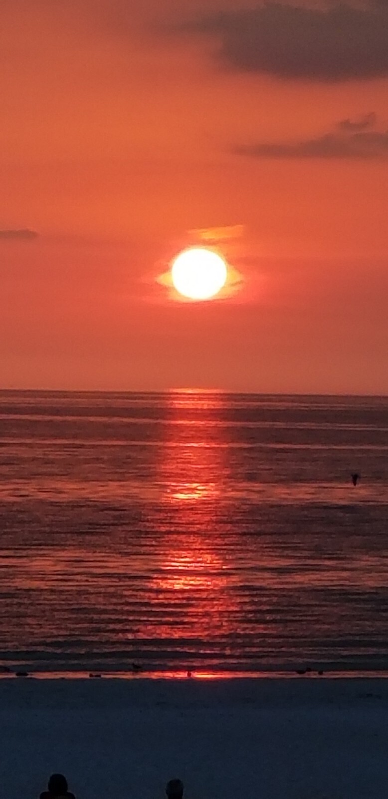 St Pete Beach, Fla-On Beach Studio 4/4-4/11 2026.  Rental Hideaway Sands Resort 