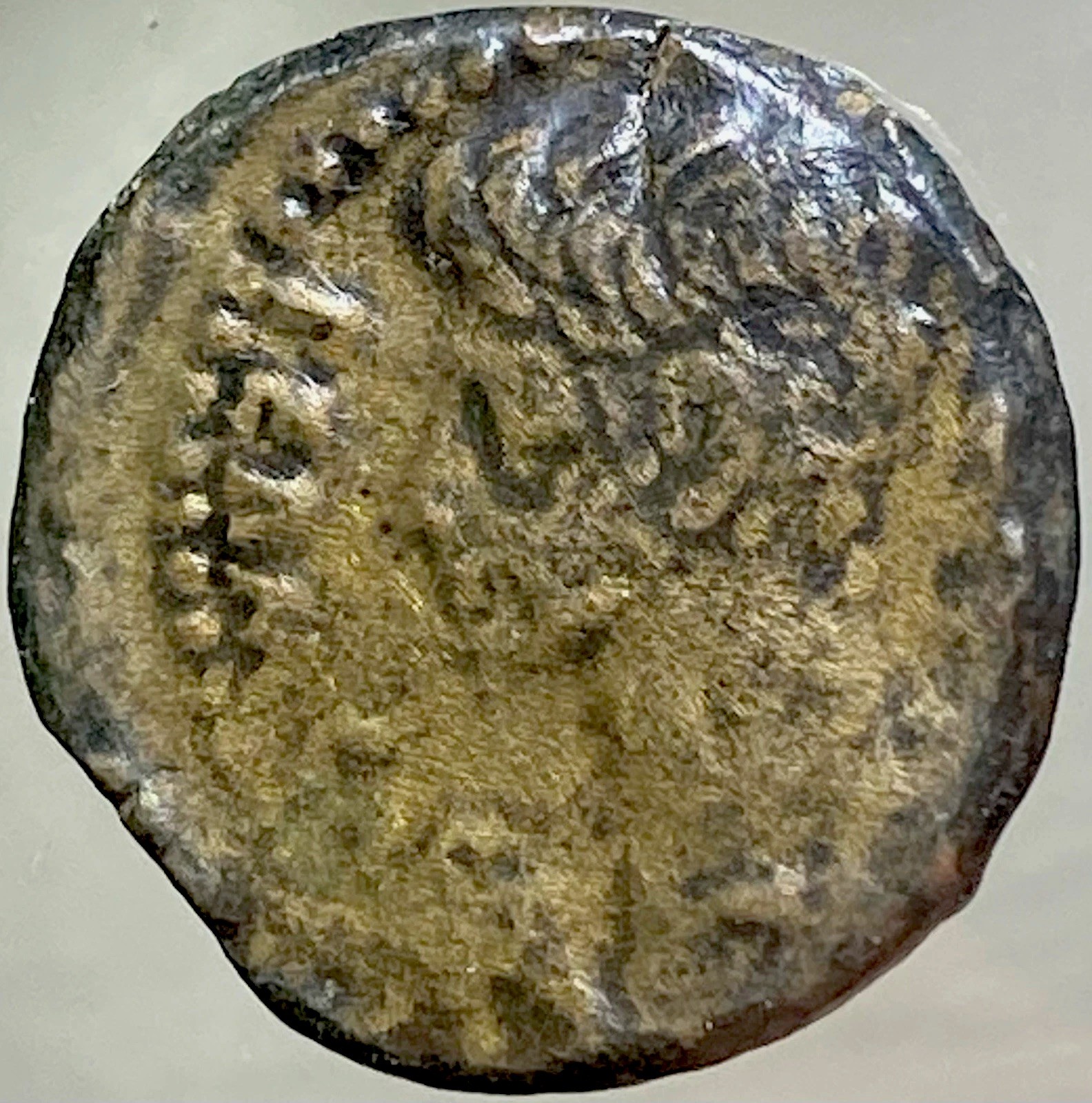 Emperor Octavian Augustus Province of Julia Traducta 14BC-10BC Roman Coin