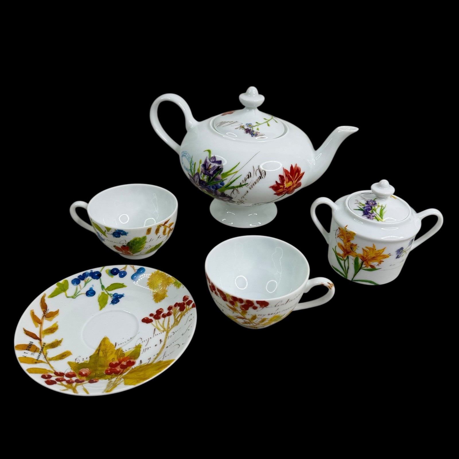 Williams Sonoma Jardin Des Fleurs Bernardaud France Teapot Set Porcelain