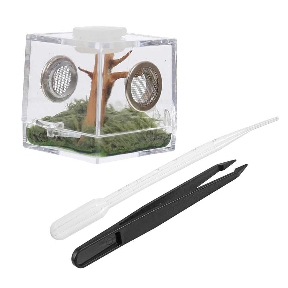 Set Reptile Acrylic Feeding Case Acrylic Spider Hatching Container