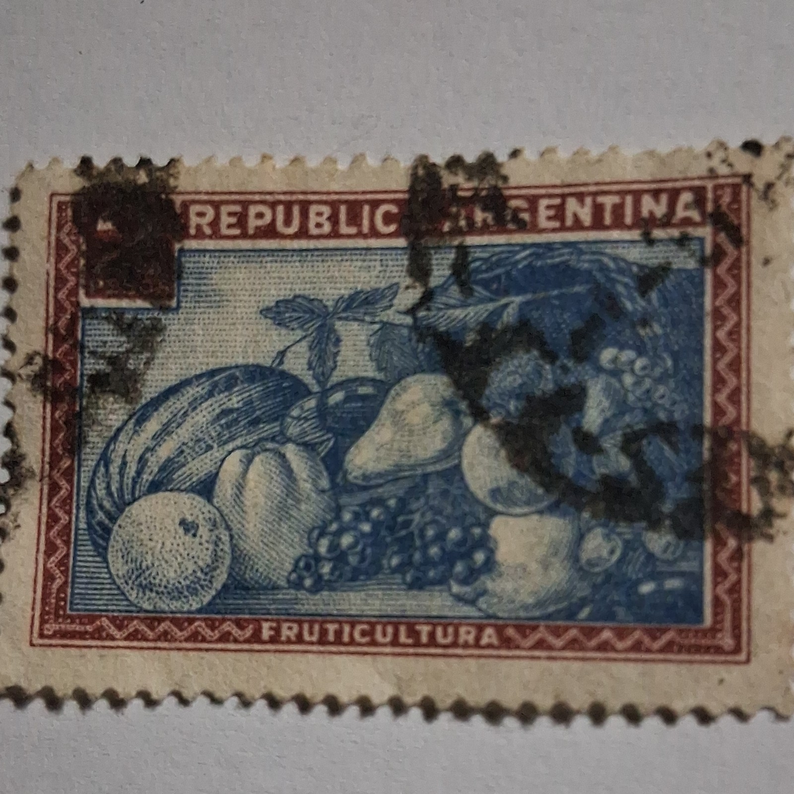 Argentina 2 Blue Red Fruit Agriculture Postage Used Stamp Uncertified Ungraded